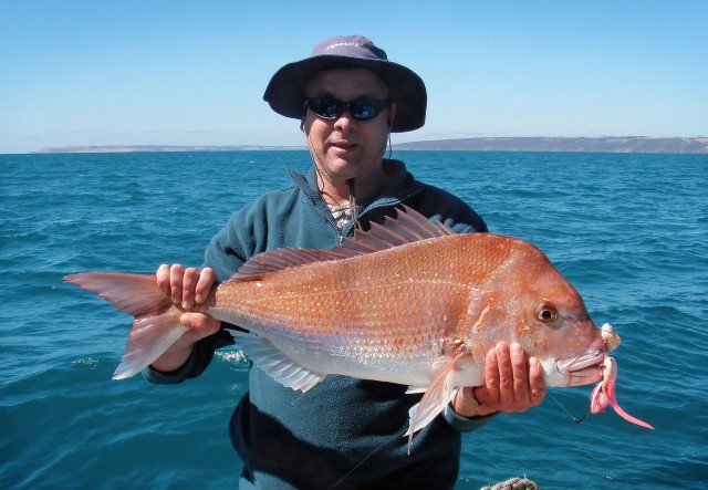 Nice Snapper on Lucanis jig